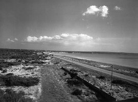 Platja de Palma. 1950.