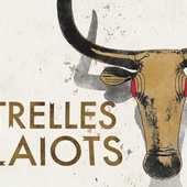 Estrelles i talaiots