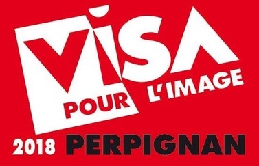 Vols participar com a fotògraf als visionats de portfoli de Visa pour l’image a Perpinyà?